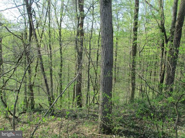 East Prospect, PA 17317,LOT 15 FURNACE ROAD