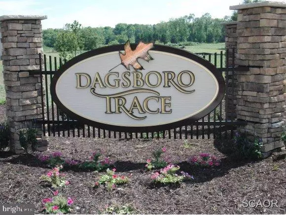 Dagsboro, DE 19939,31920 CHELSEA CT