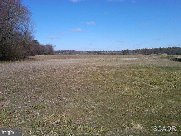 WHITESVILLE RD, Laurel, DE 19956