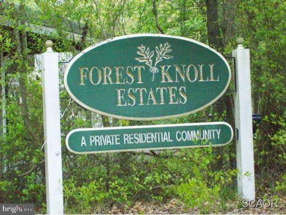 Laurel, DE 19956,33287 FOREST KNOLL DR