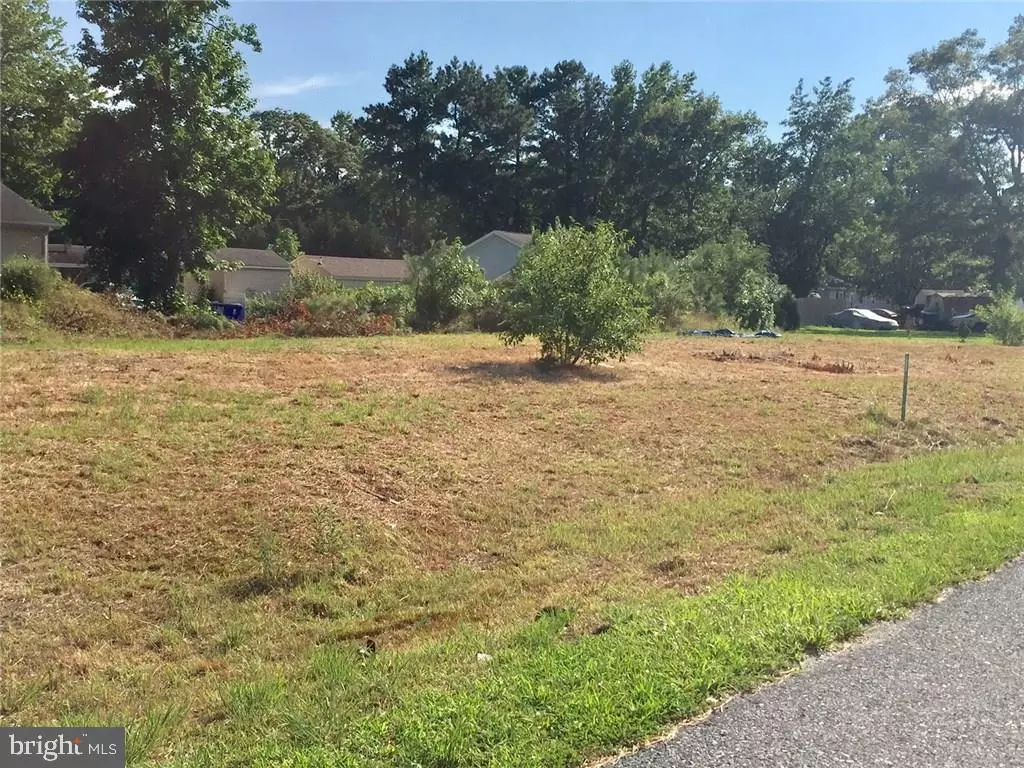 Ellendale, DE 19941,LOT 10 PIN OAK ST