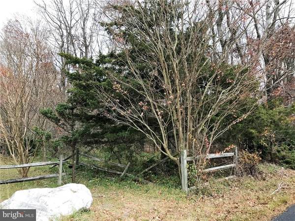 5 +/- ACRES ON AIRPORT RD, Georgetown, DE 19947