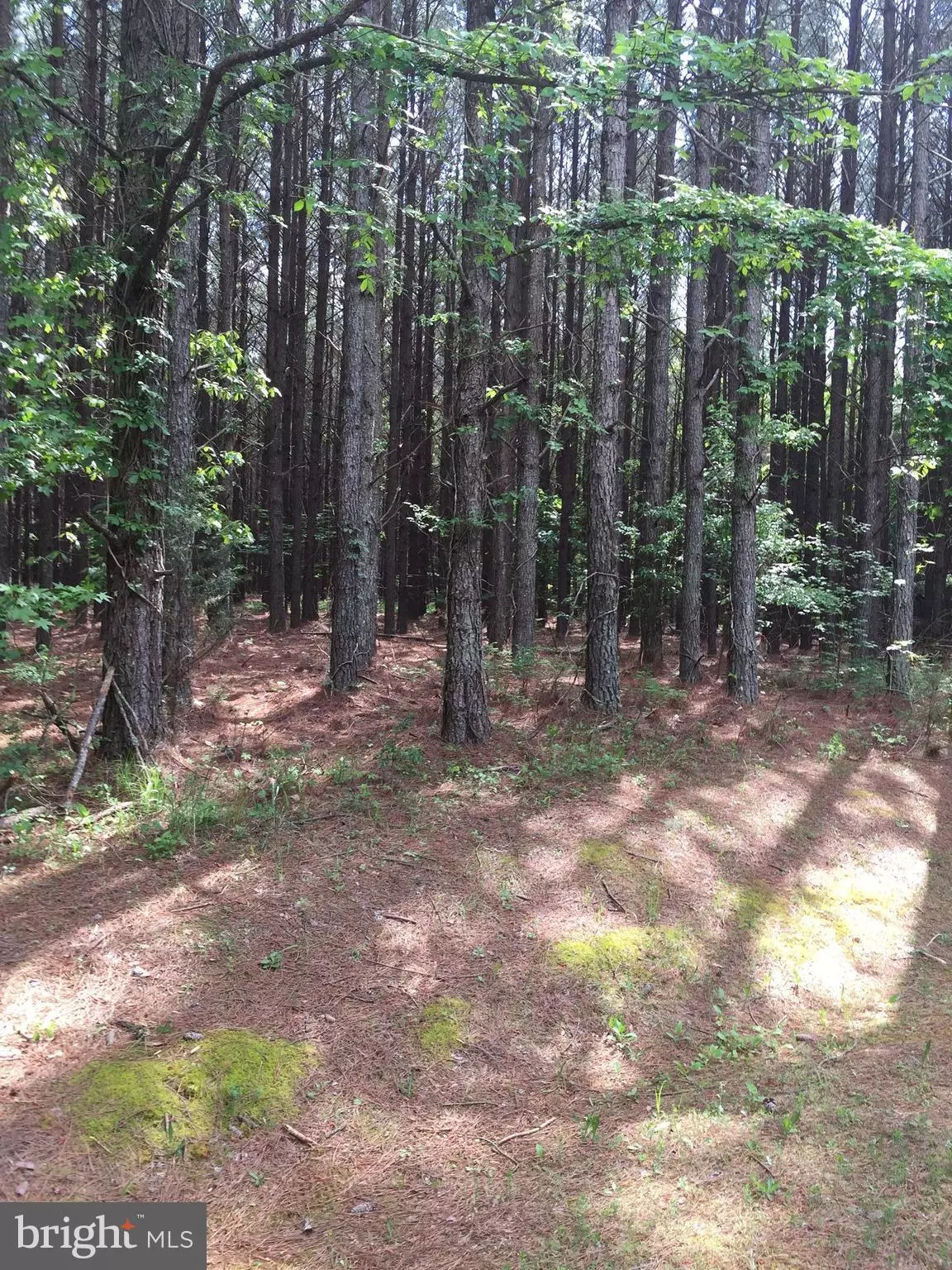 Boydton, VA 23917,LOT 60 PINEWOOD TRL