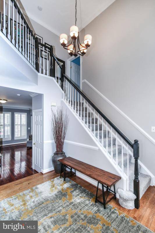 Sterling, VA 20165,20489 MCGEES FERRY WAY