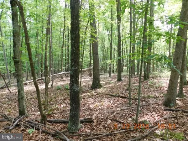 Berkeley Springs, WV 25411,LOT 2B HOLLYBUSH LN