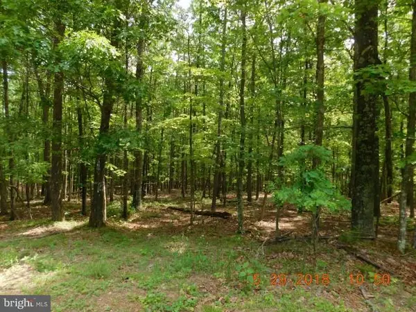 Berkeley Springs, WV 25411,LOT 2B HOLLYBUSH LN