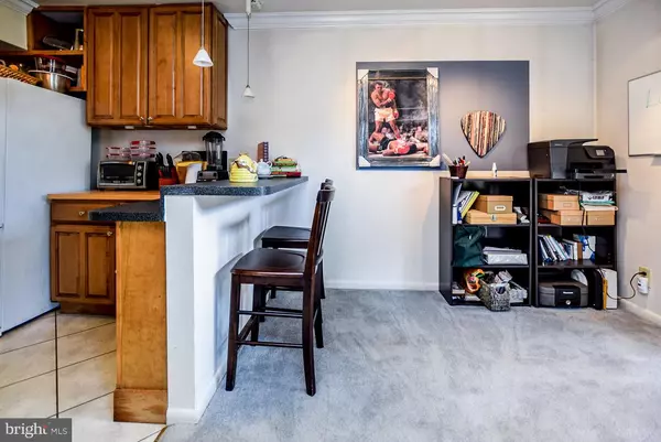 Columbia, MD 21045,6081 MAJORS LN #9