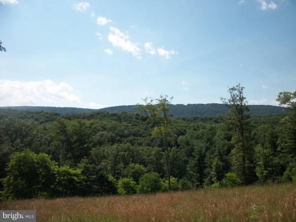 161 SHADOW RIDGE LN, Great Cacapon, WV 25422