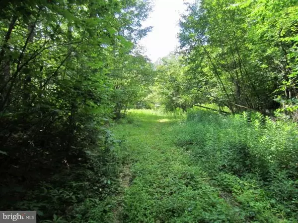 Grantsville, MD 21536,DURST RD