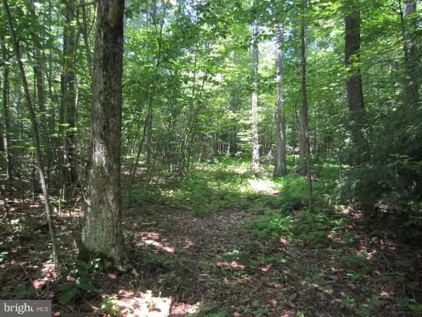 Grantsville, MD 21536,DURST RD