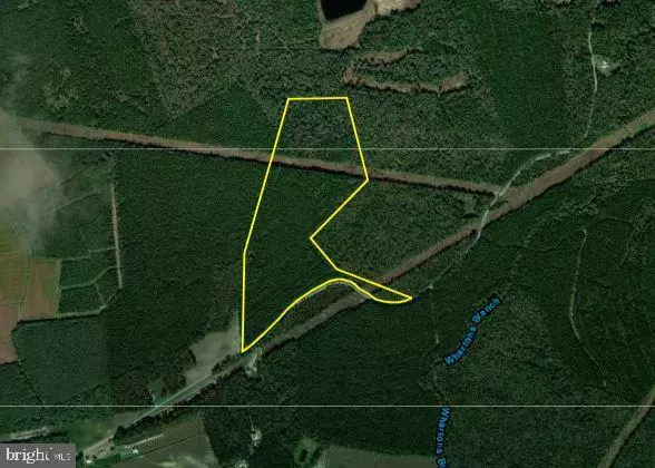 Dagsboro, DE 19939,MOLLY FIELD ROAD