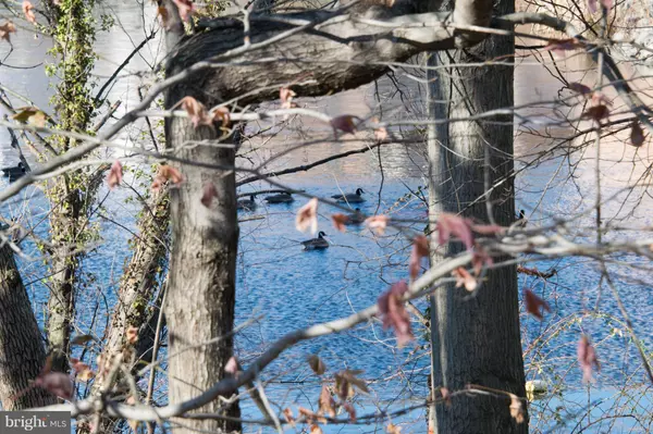 Falls Church, VA 22042,3152-I ANCHORWAY CT #I