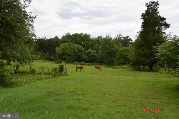 SETTLE SCHOOL RD, Rixeyville, VA 22737