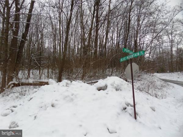 LOT 48 BLUE MOUNTAIN DR, New Ringgold, PA 17960