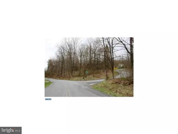 New Ringgold, PA 17960,LOT 48 BLUE MOUNTAIN DR