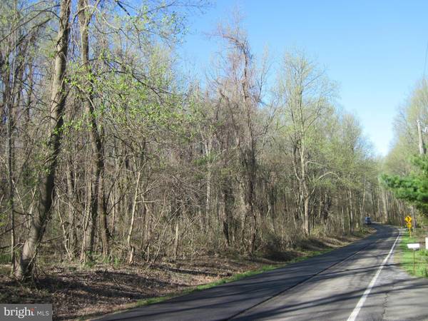 BLUE RIDGE MOUNTAIN RD, Paris, VA 20130