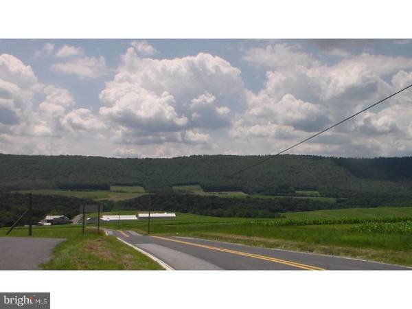 LOT 1 WOODS RD, Pitman, PA 17964