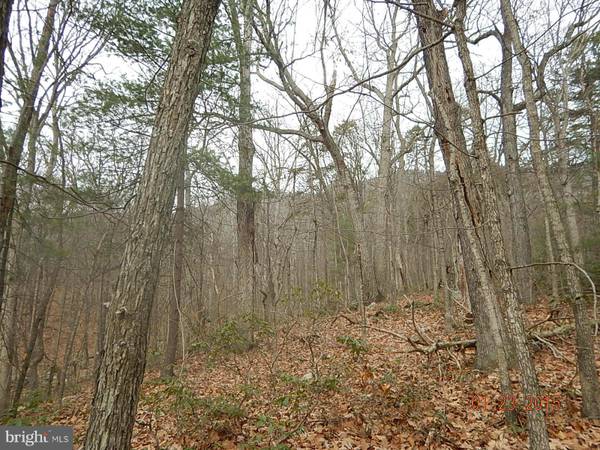 Luray, VA 22835,FOREST EXTENDED DR