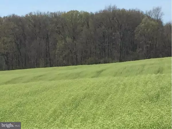 White Post, VA 22663,CARTER LINE ROAD