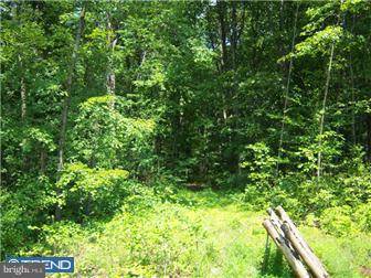 Pennsburg, PA 18073,LOT 2 OLD PLAINS RD