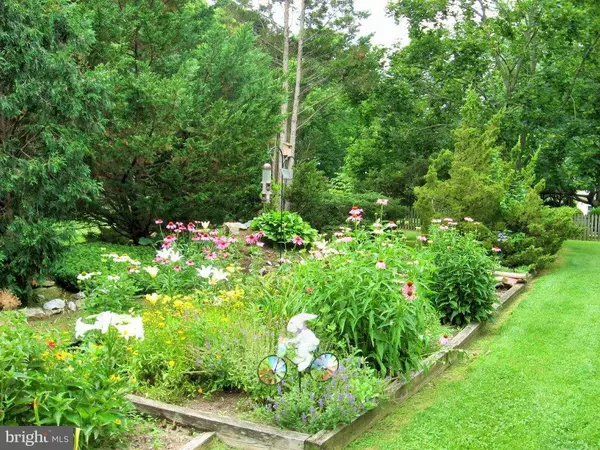 Woodstock, VA 22664,422 JEFFERSON ST