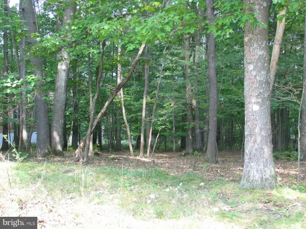 -LOT 10 DEER RUN, Swanton, MD 21561