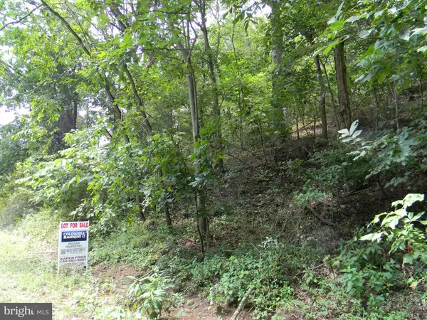 Rileyville, VA 22650,STATE ST