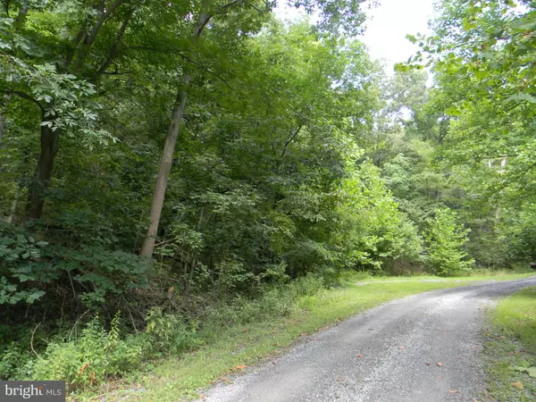 Rileyville, VA 22650,STATE ST