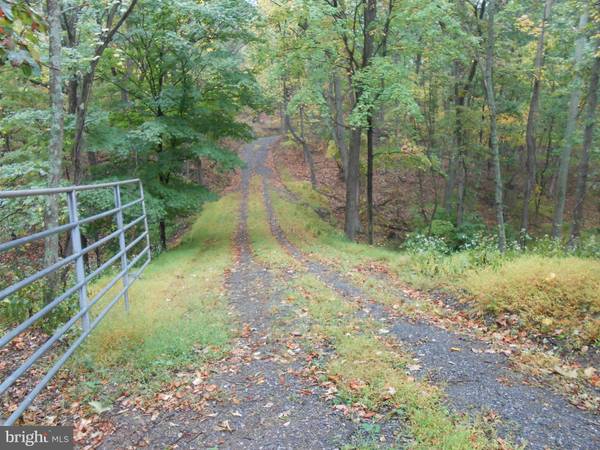 APPLE JACK LANE, Berkeley Springs, WV 25411