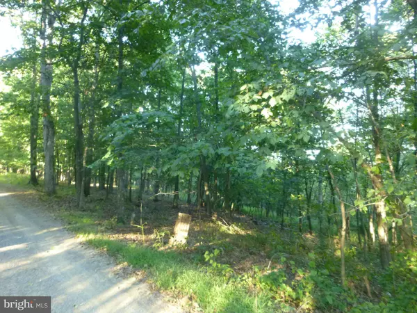 Cross Junction, VA 22625,42-A BIG TIMBER DR