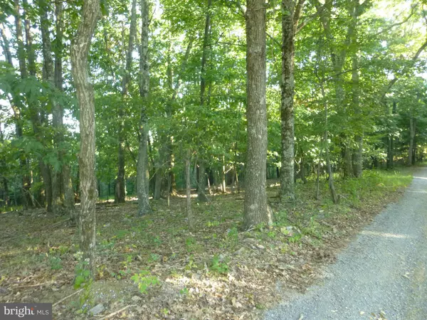 Cross Junction, VA 22625,42-A BIG TIMBER DR