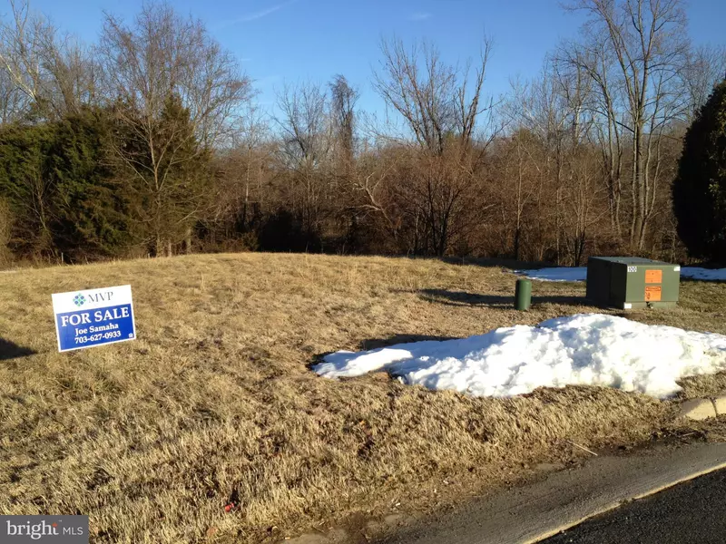 MONUMENT, Culpeper, VA 22701