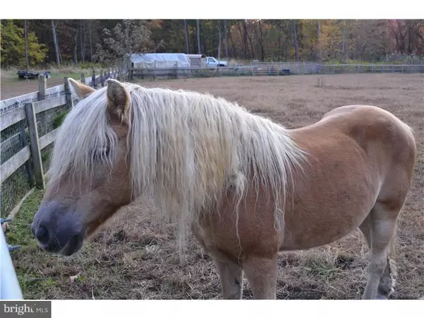 Freehold, NJ 07728,384 MONMOUTH RD