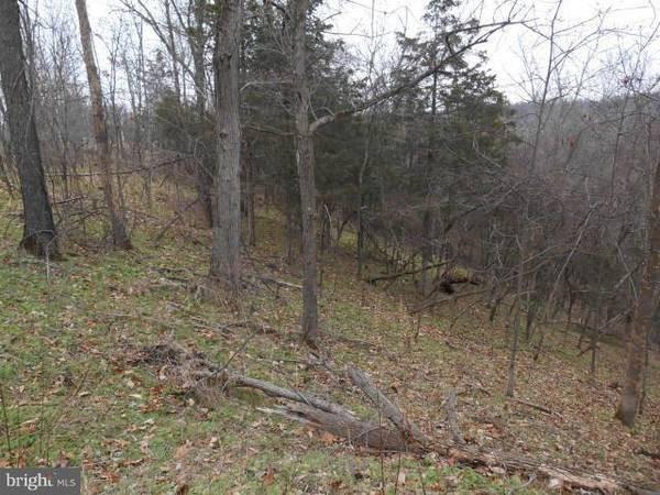 LOT 62 POTOMAC HIGHLANDS FARM, Levels, WV 25431