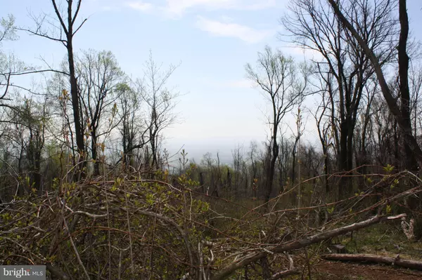 Bluemont, VA 20135,BLUERIDGE  MOUNTAIN RD