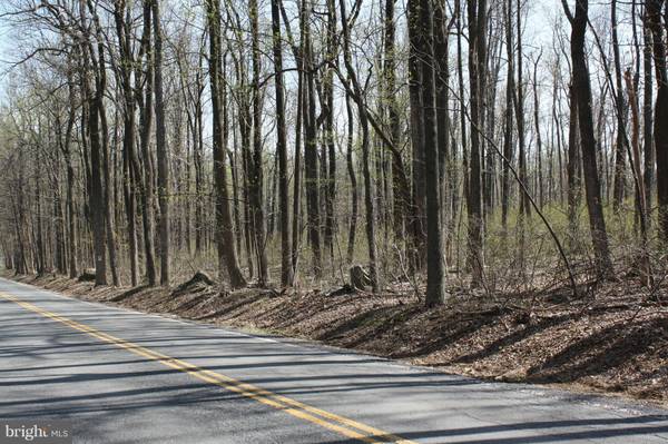 Bluemont, VA 20135,BLUERIDGE MOUNTAIN RD