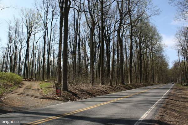 Bluemont, VA 20135,BLUERIDGE MOUNTAIN RD