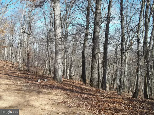 Berkeley Springs, WV 25411,2 SIDELING HILL MTN