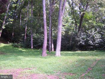 Great Cacapon, WV 25422,CACAPON RIVER