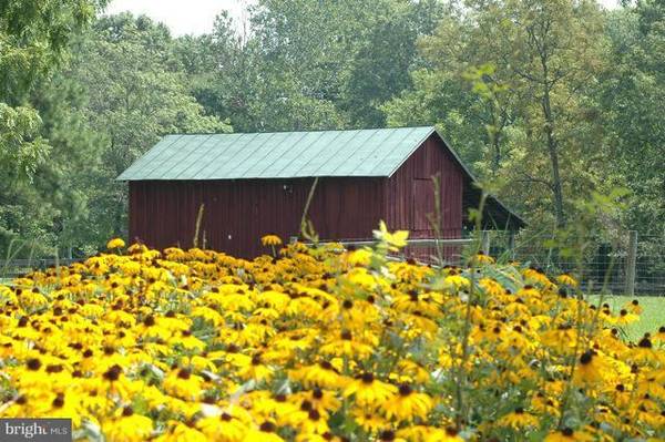 Huntly, VA 22640,302 LITTLE LONG MOUNTAIN LN