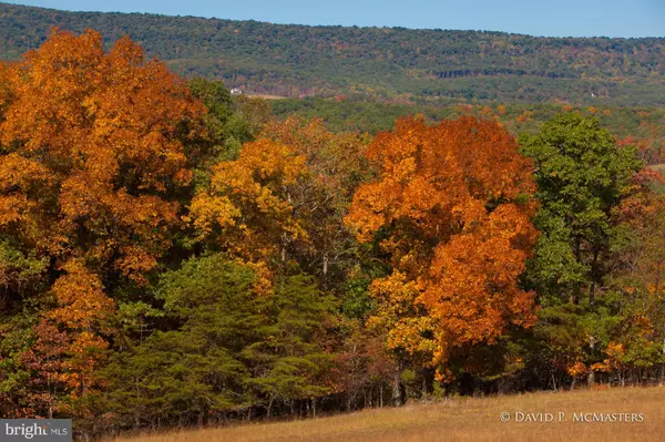 Gerrardstown, WV 25420,-LOT 14 MARIGOLD WAY