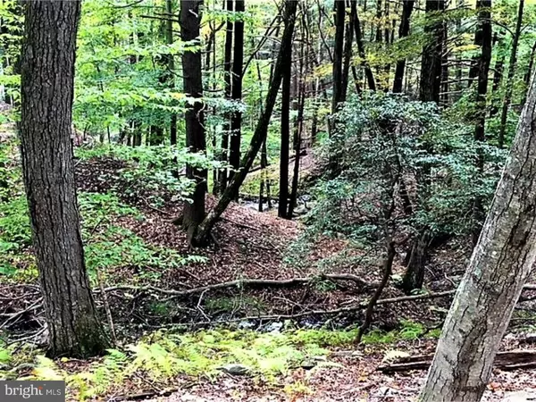 Bushkill, PA 18627,LOT 14 POCONO MOUNTAIN LAKE DR