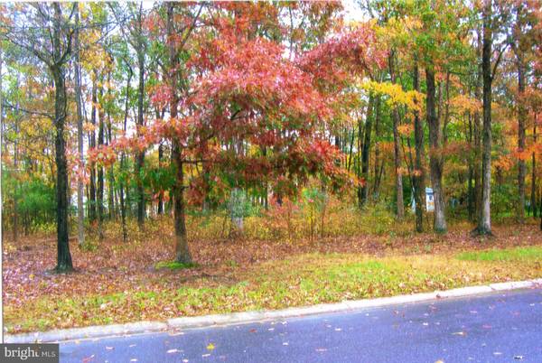 0 ACORN CIR #LOT 43, Pocomoke City, MD 21851