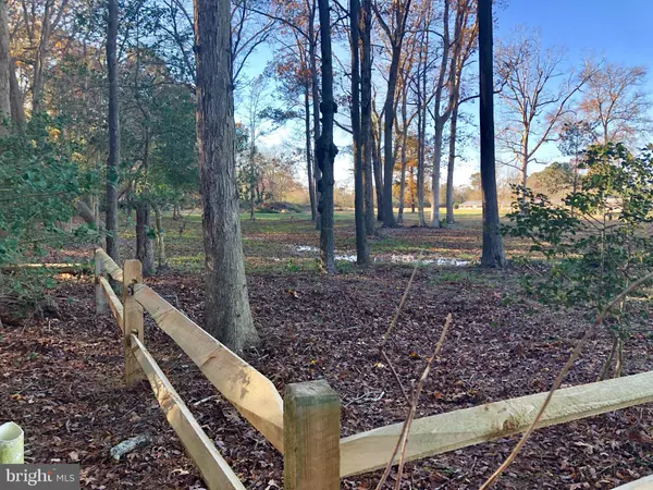 Dagsboro, DE 19939,30849 TRAILS END DR