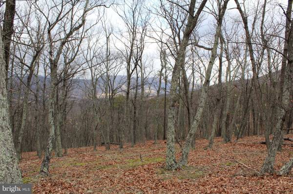 10.93 AC NAZELRODT-HARMAN RD, Petersburg, WV 26847