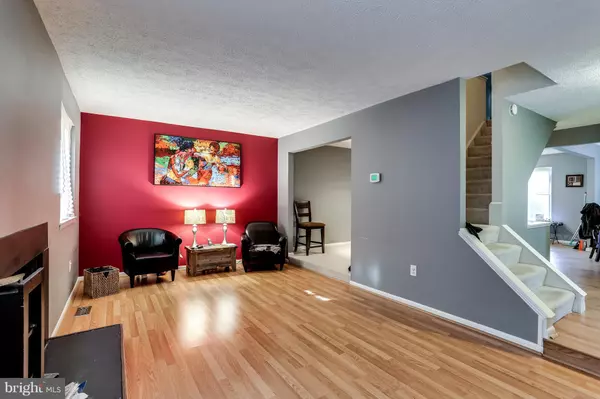 Columbia, MD 21045,5413 WHITE MANE