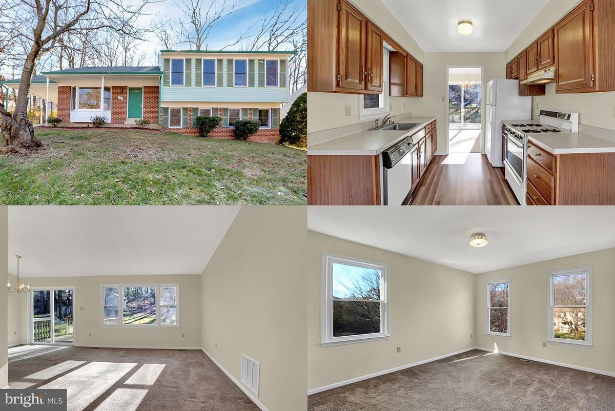 Beltsville, MD 20705,11103 CEDAR LN