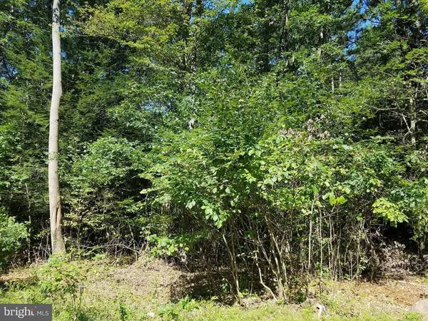 3483-LOT 2 FOREST ST, Lehighton, PA 18235