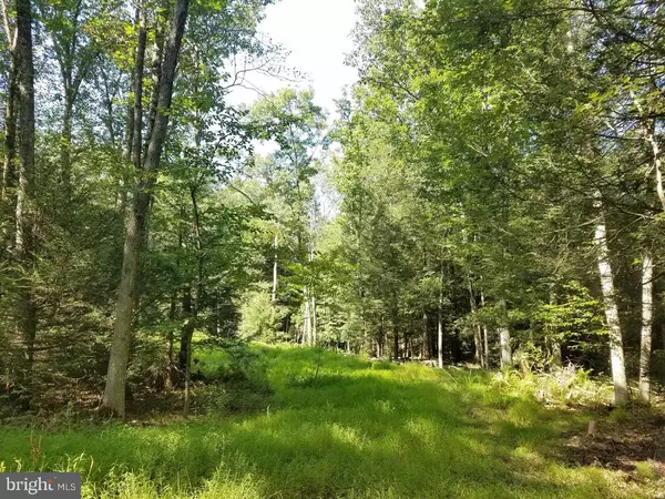 Lehighton, PA 18235,3481 LOT 1 FOREST ST