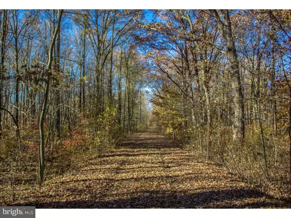 Townsend, DE 19734,LOT #3 PINE TREE RD